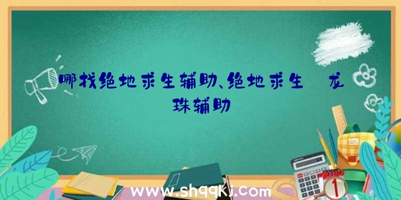 哪找绝地求生辅助、绝地求生